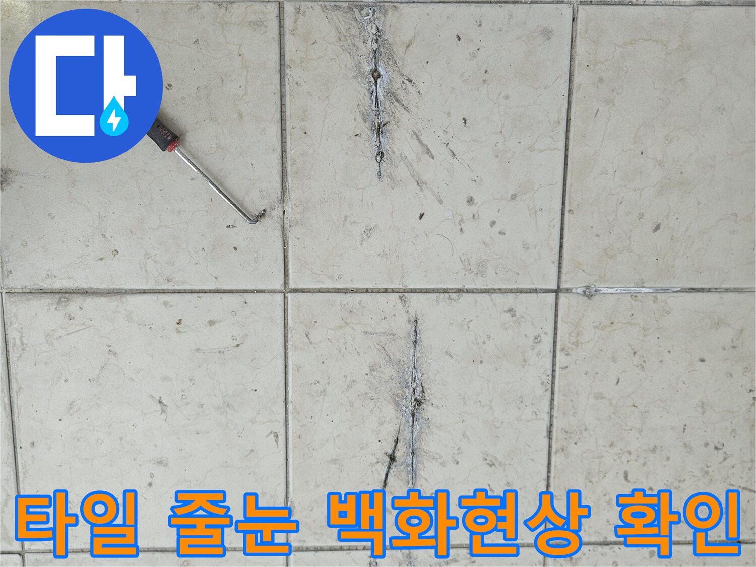 양주 현장 타일 사이 하얀 백화 성분 발생 상태