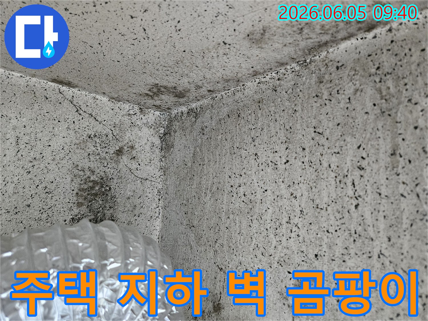 주택-지하-벽면-곰팡이-오염-누수-징후-쾌적한-주거-환경-유지-필요