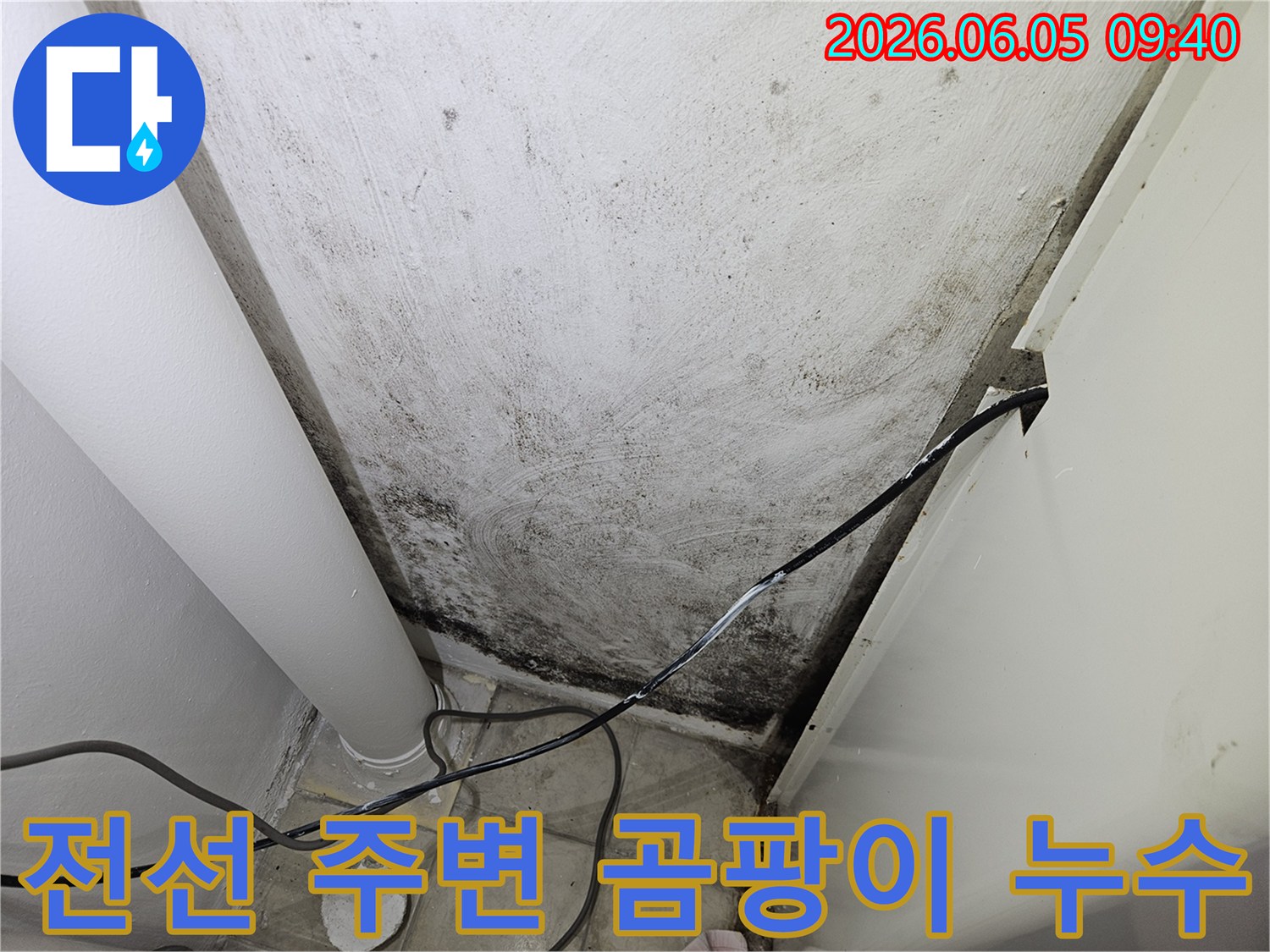 천장-누수로-인해-전선-주변에-발생한-곰팡이-오염-현장-사진