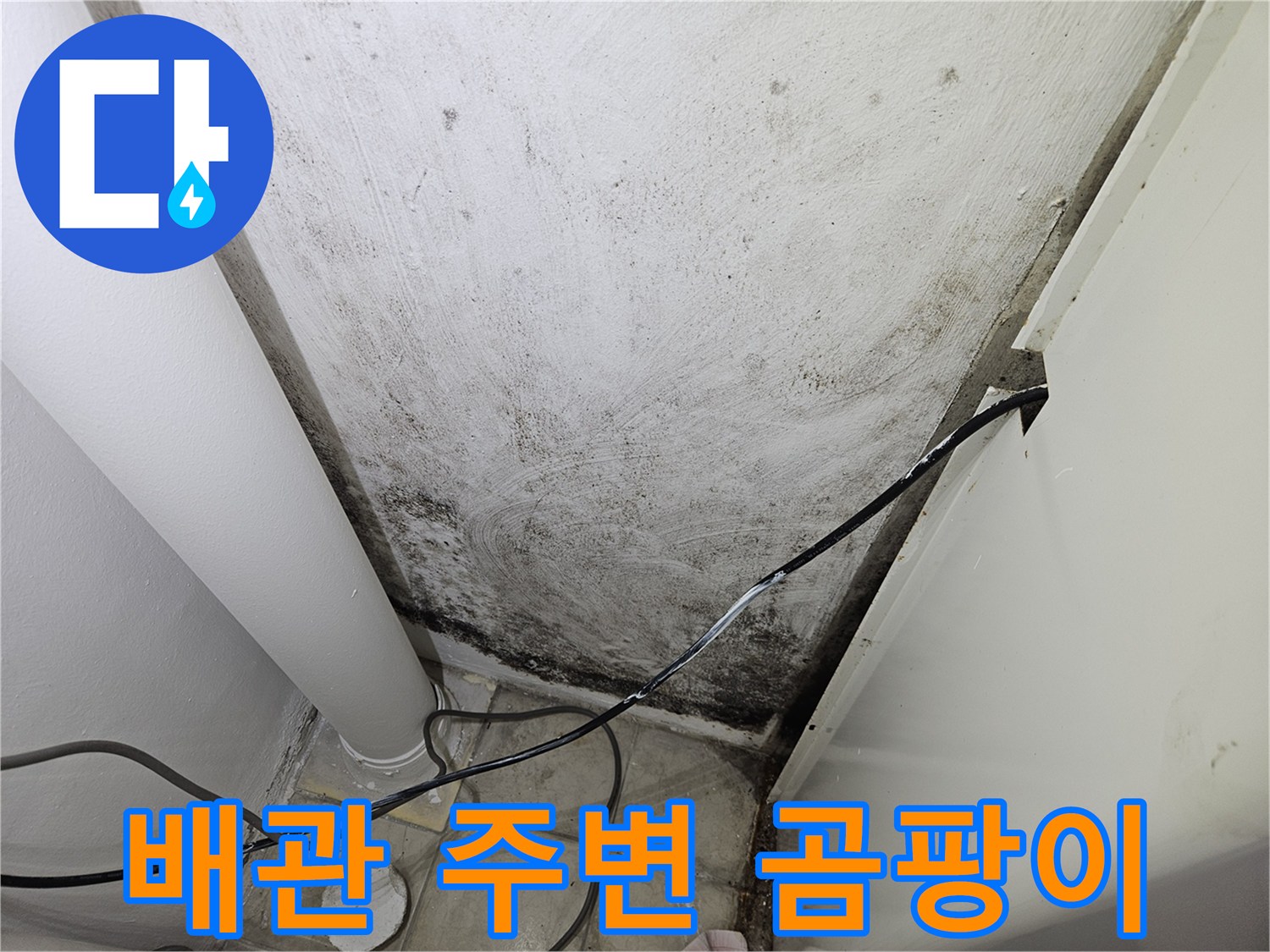 흰색 배관 옆으로 번진 검은 곰팡이와 습기 흔적