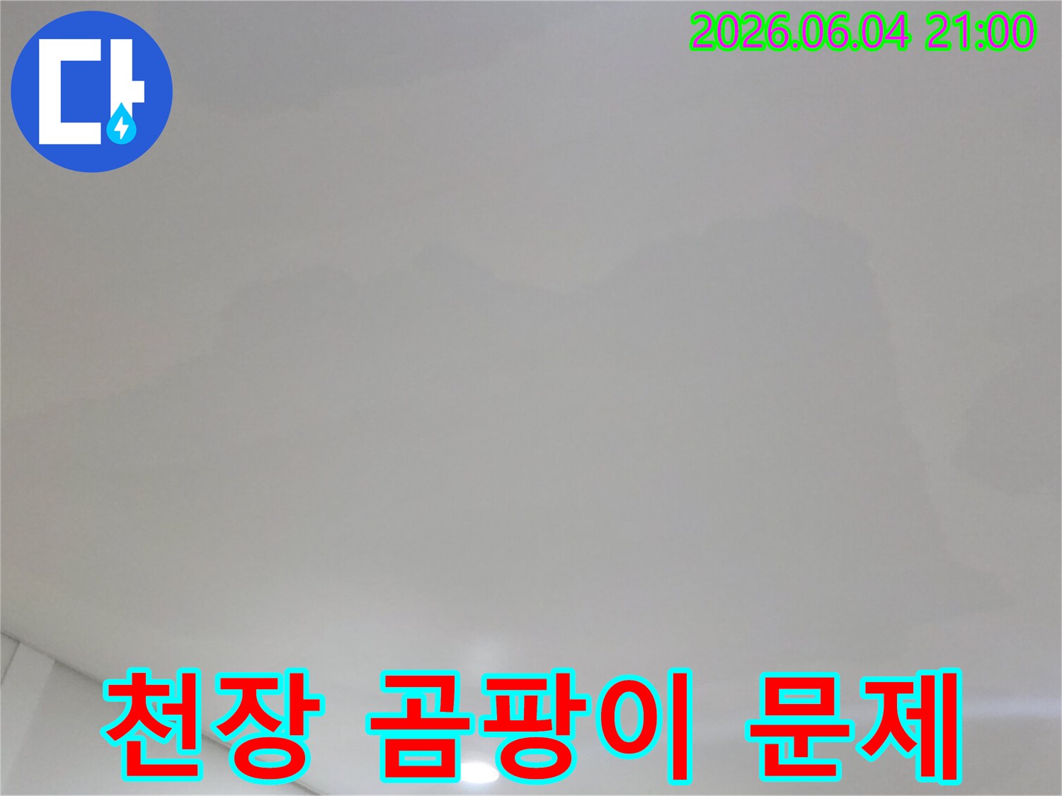 고양시 일산서구 주택 천장에-누수로 인해 발생한-곰팡이 문제를-보여주는 이미지입니다