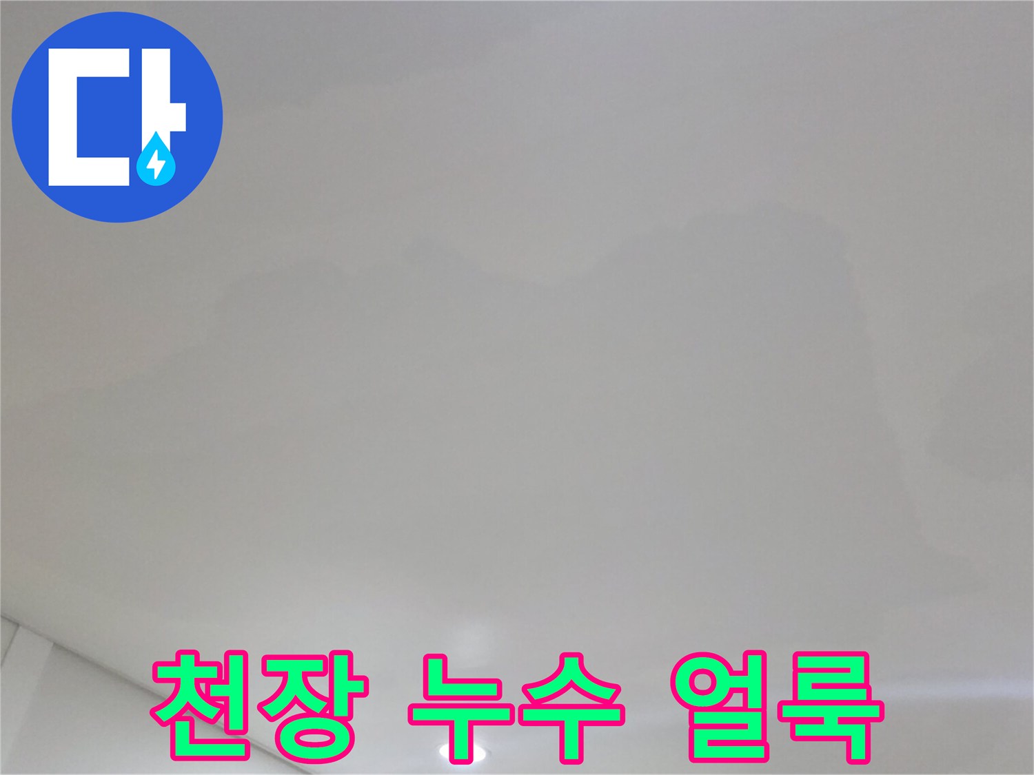 넓게-퍼진-천장-물샘-얼룩-및-변색