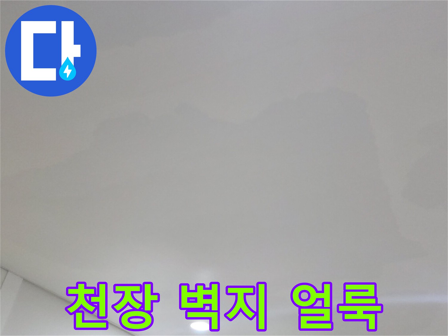 일산서구 아파트-거실 천장지에 발생한 넓은 물자국과 변색 현상