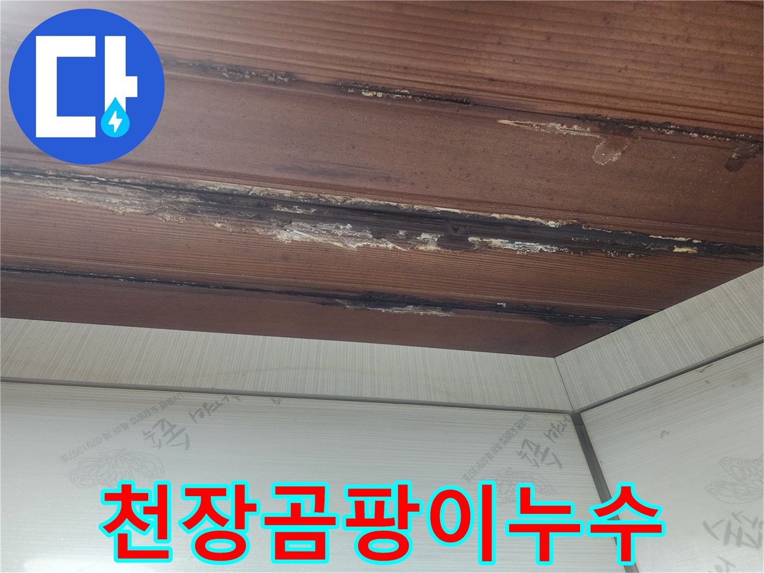 오래된-누수로-인해-천장-목재가-손상되고-있는-현장입니다.