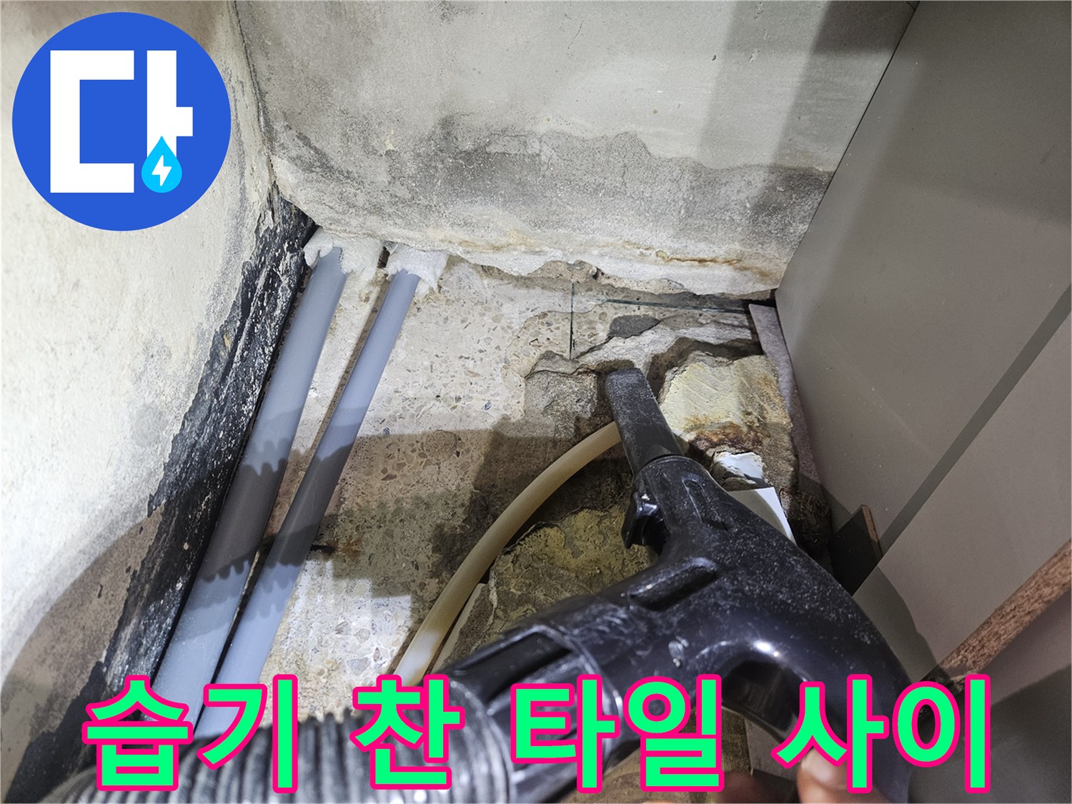 샤워실 벽면 하단-배관 주변의 습기 및 젖은 타일 상태