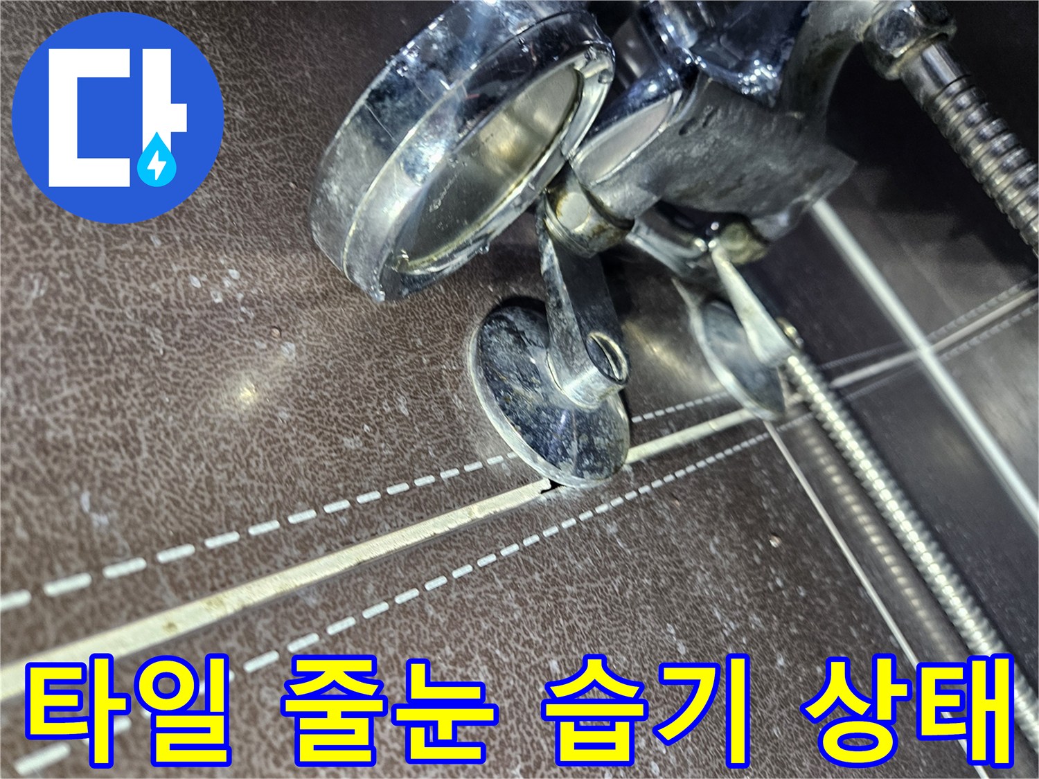 타일-줄눈-사이로-스며든-물기와-습기-확인