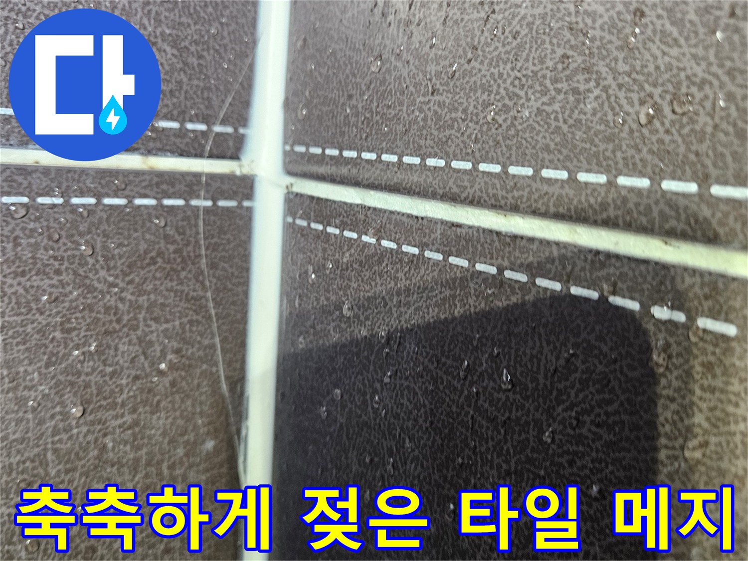 타일-틈새로-스며든-물기와-습기-상태