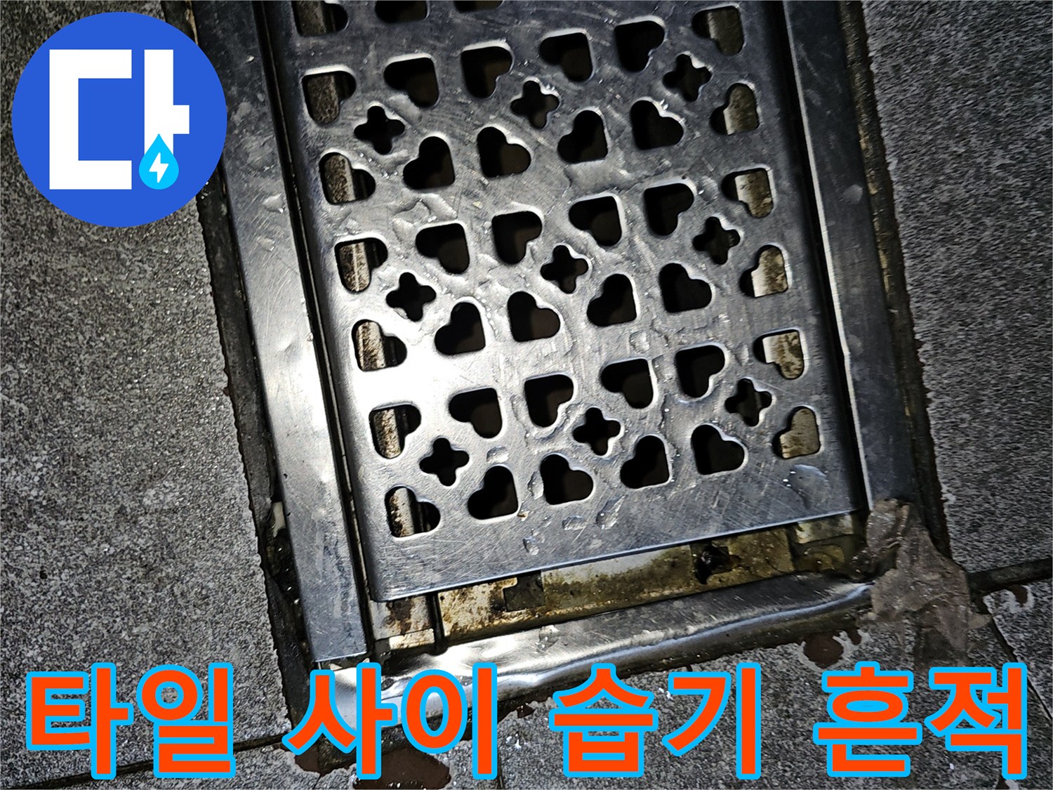배수구 주변 타일 틈새의 어두운 습기 얼룩