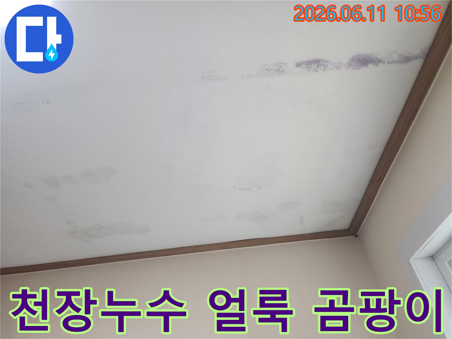 천장에 발생한-누수 얼룩과-곰팡이 흔적을-보여주는 사진