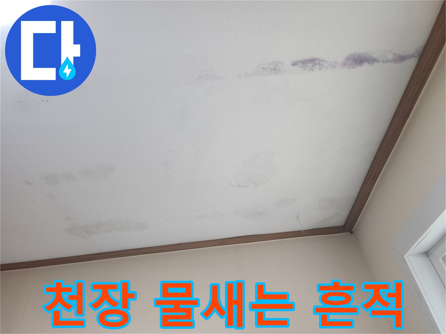 천장에서 물이-새어 나와-얼룩진 모습을-보여주는 사진