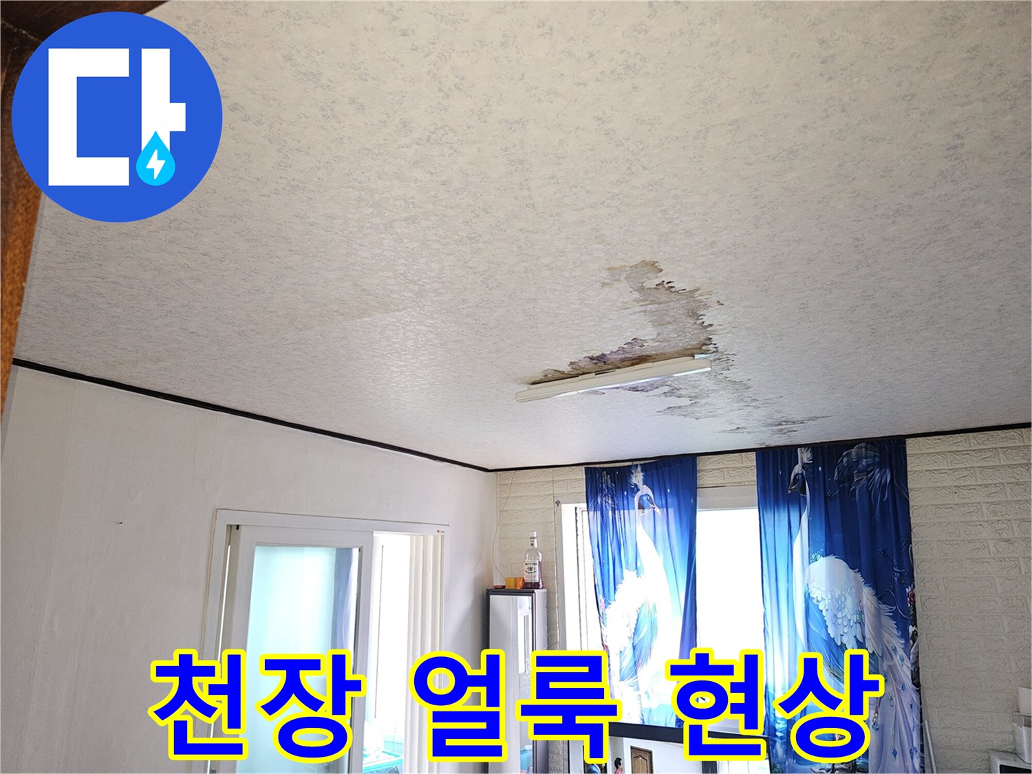 금천구 아파트 천장 벽지에 나타난 누수 변색 흔적