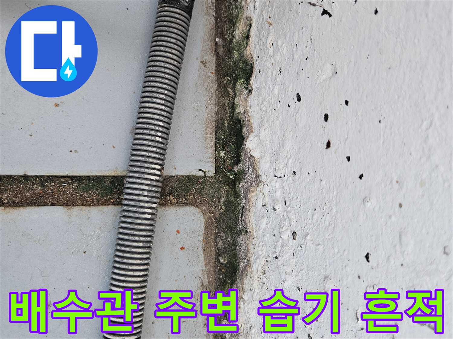 노후된 배수관-주변의 습기와 오염된 바닥 상태