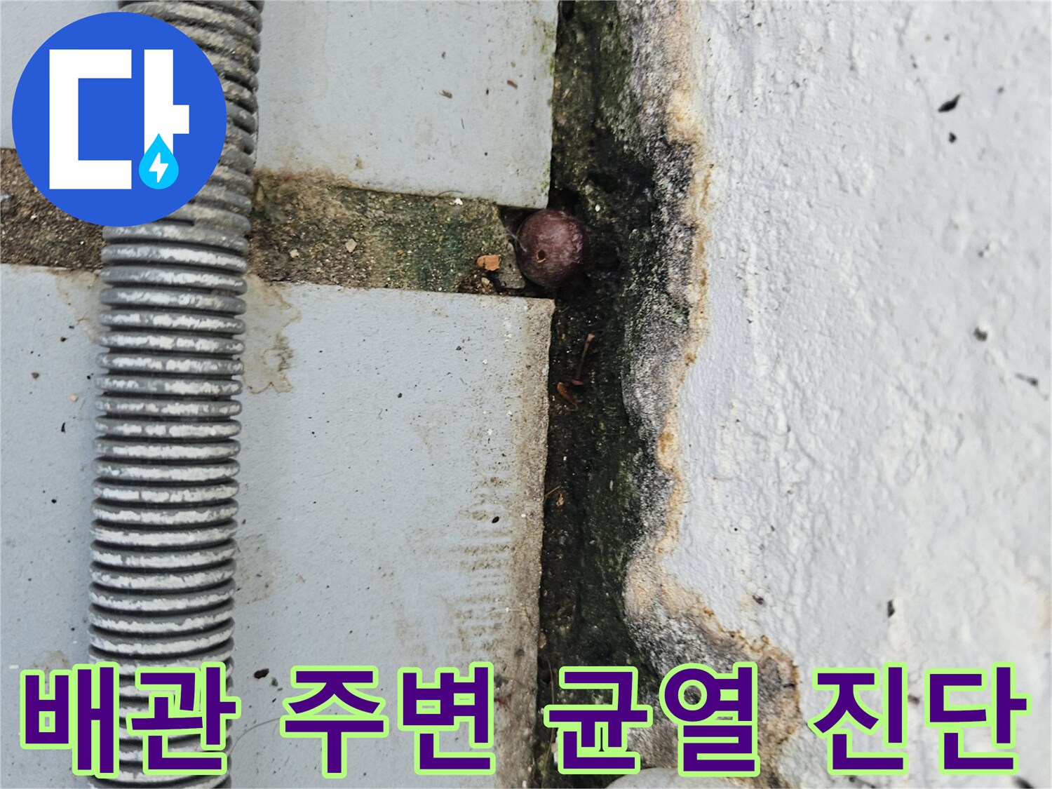 배관-연결부-및-타일-경계-틈새-확인