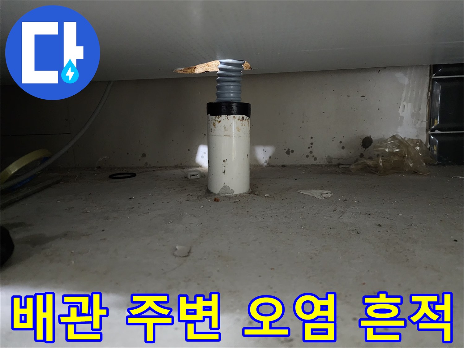 싱크대 하부장 아래쪽-오염된 바닥과 연결된 배수 호스