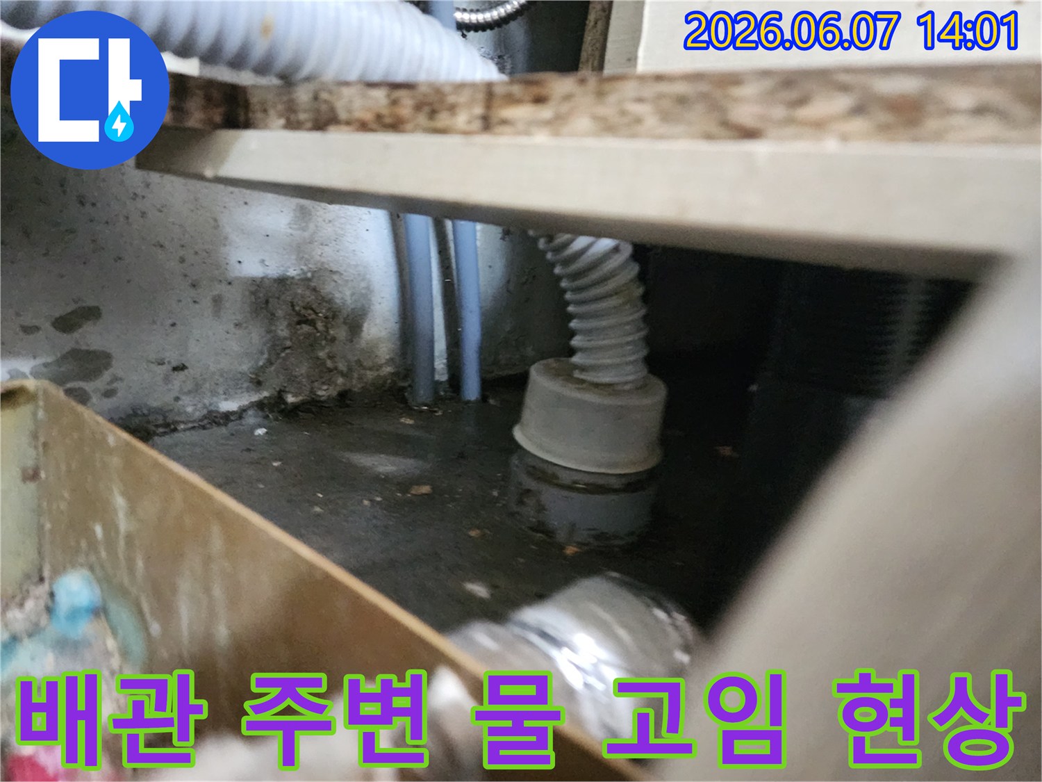 하수구 배관 주위로 역류하여 바닥에 고인 오수와 찌꺼기
