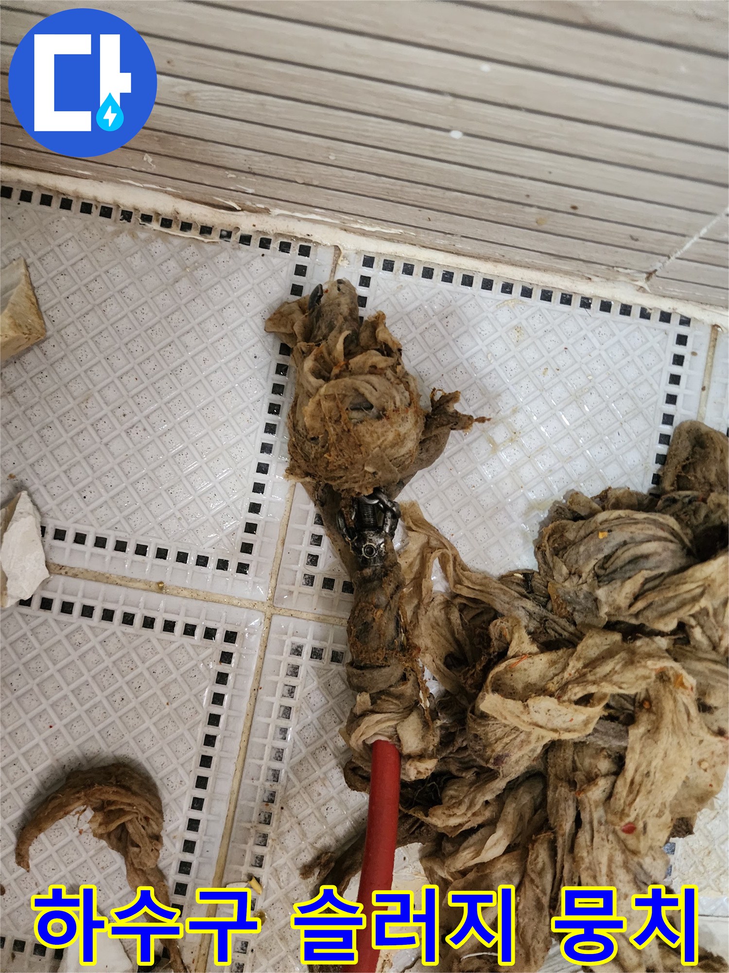배관 내부에서 나온 오염된 머리카락과 기름때 덩어리