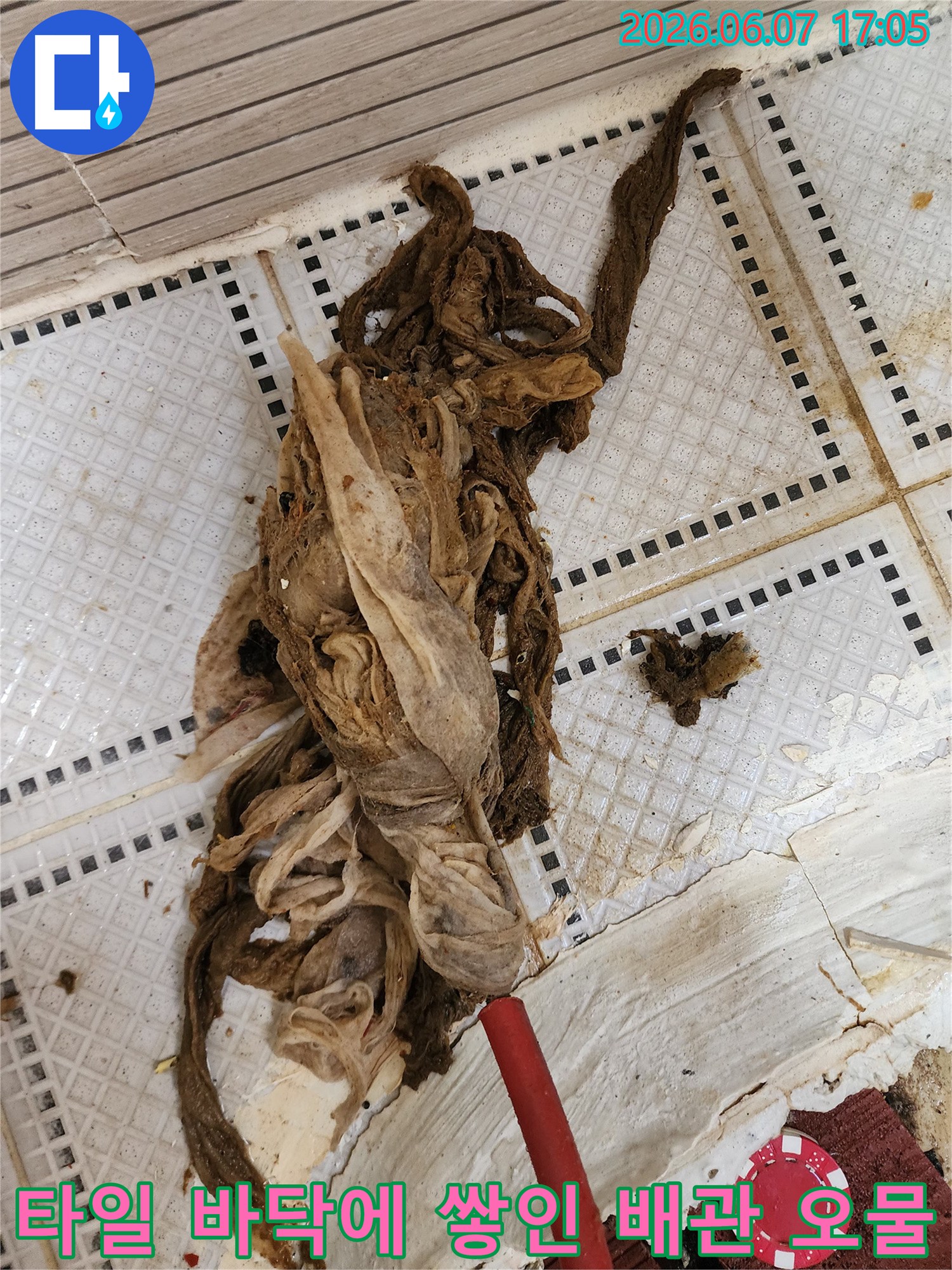 배관 청소 후 타일 바닥 위로 드러난 커다란 물티슈 뭉치와 오염된 배수구 주변