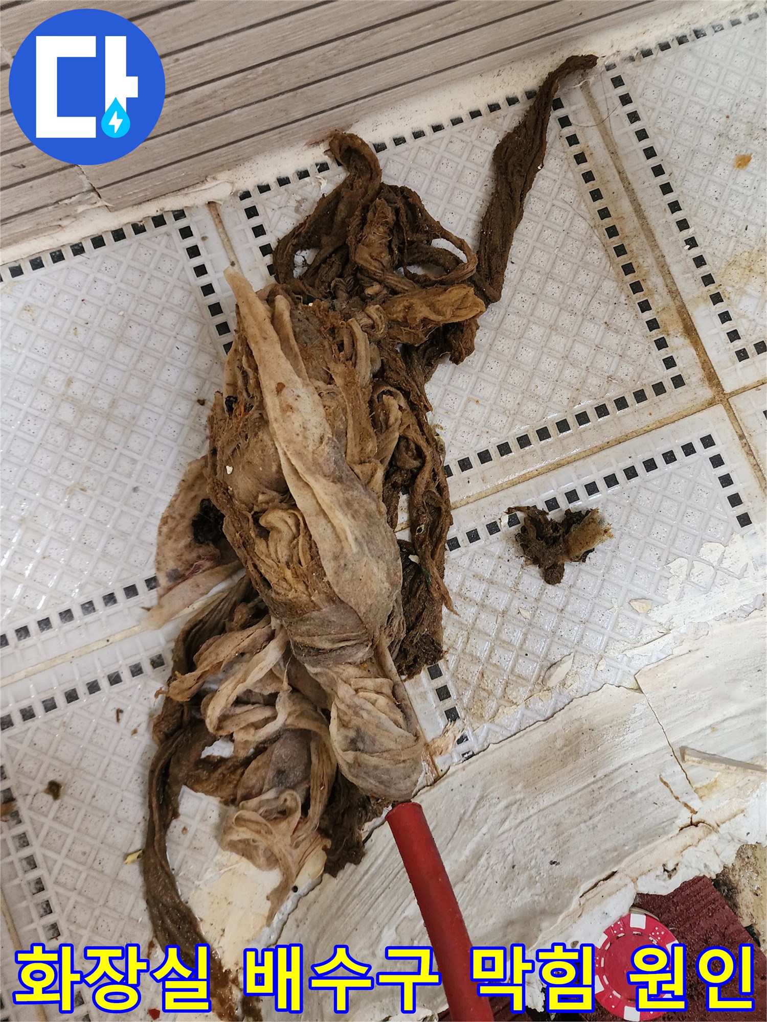 배수구에서 끌어올린 엄청난 양의 머리카락과 찌꺼기