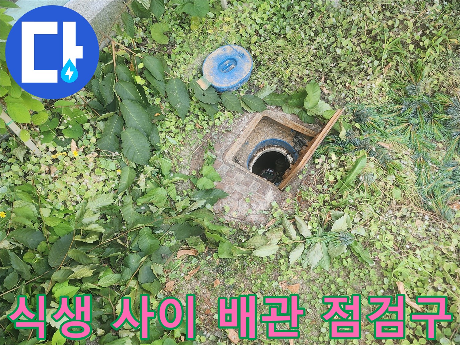 수원 권선구 현장-지면 아래 위치한 배관 점검구 확인 작업