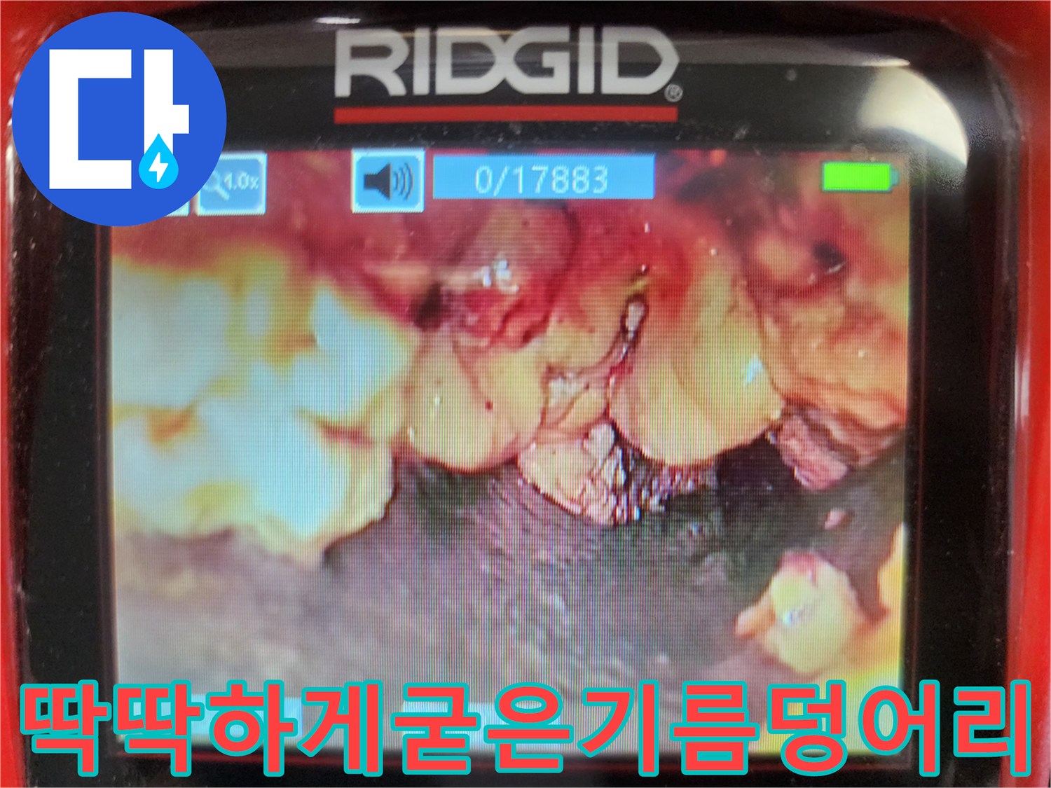 싱크대-배관-벽면에-엉겨붙은-유지방 덩어리들