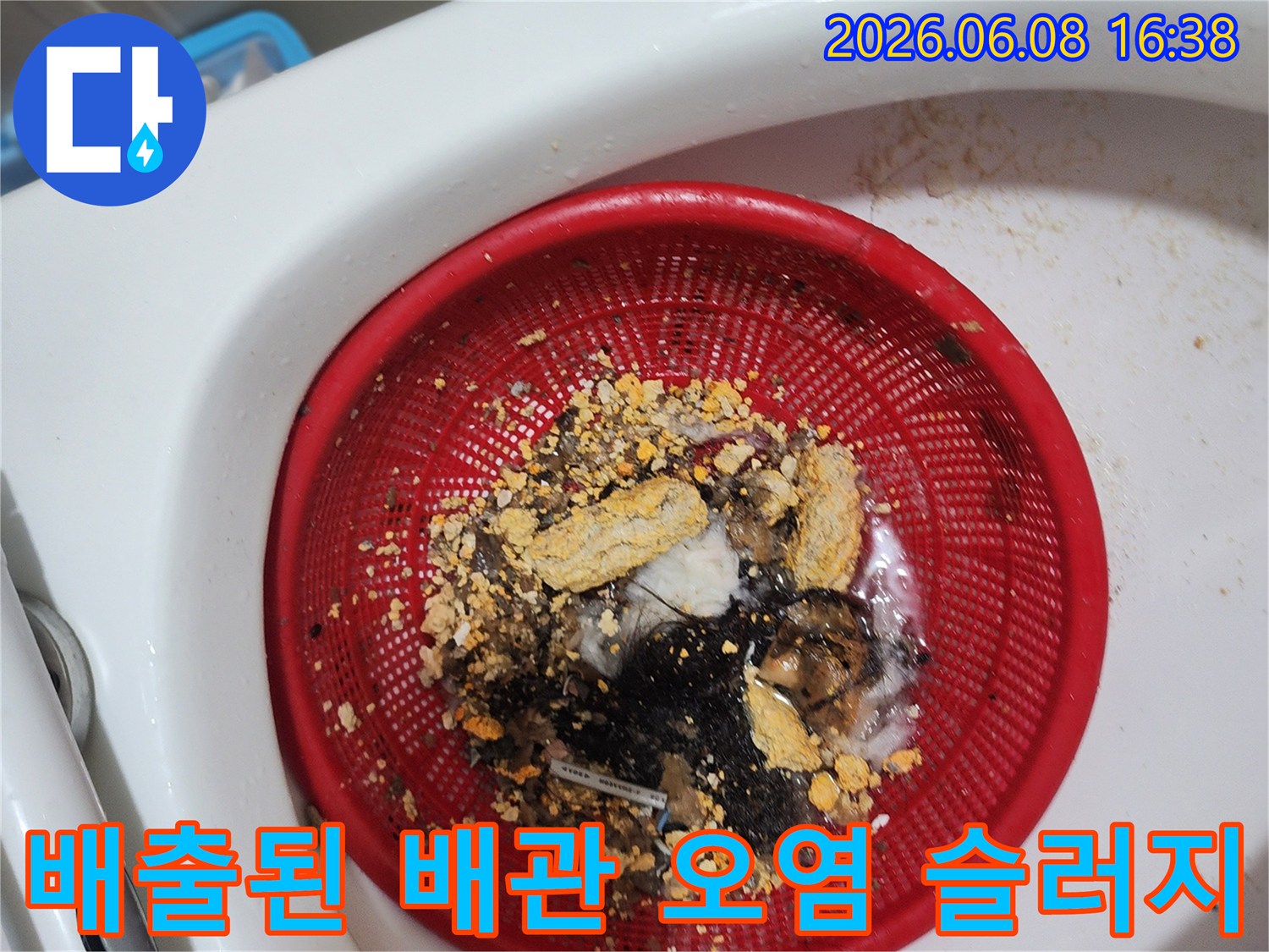 빨간 거름망에 담긴 덩어리진 슬러지와 머리카락
