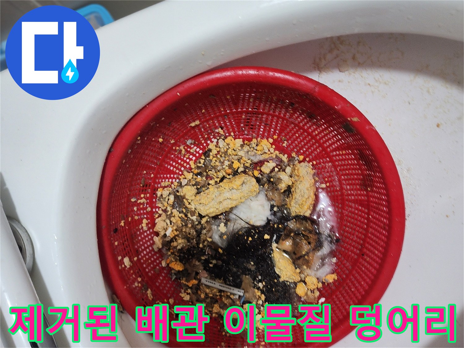 빨간 바구니에 담긴 머리카락과 누런색의 배관 슬러지