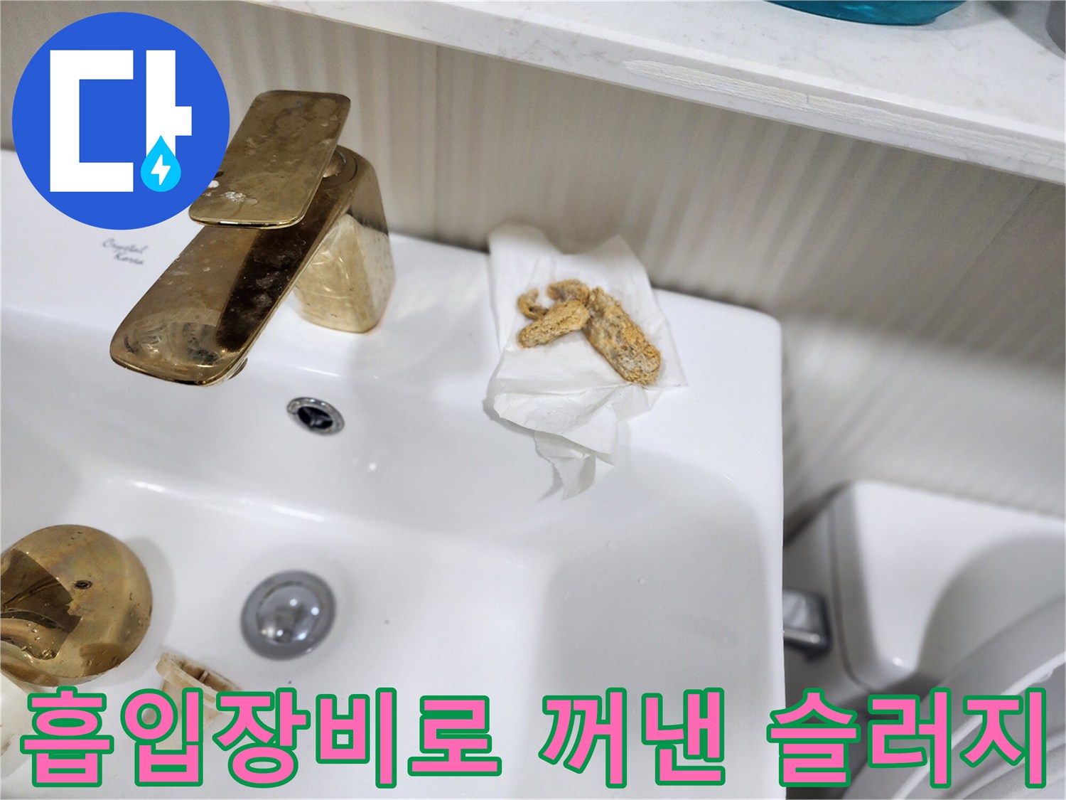화장실-배수구-역류를-유발한-슬러지-덩어리