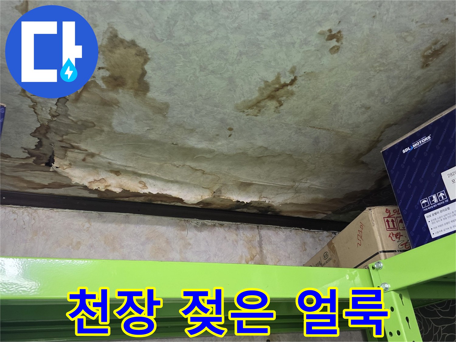 누수 흔적이 선명한 지하 천장 마감재 - 현장 점검 기록