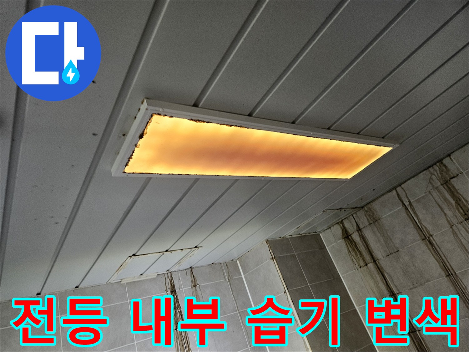 습기로 인해 노랗게 변한 조명 커버와 천장 마감재