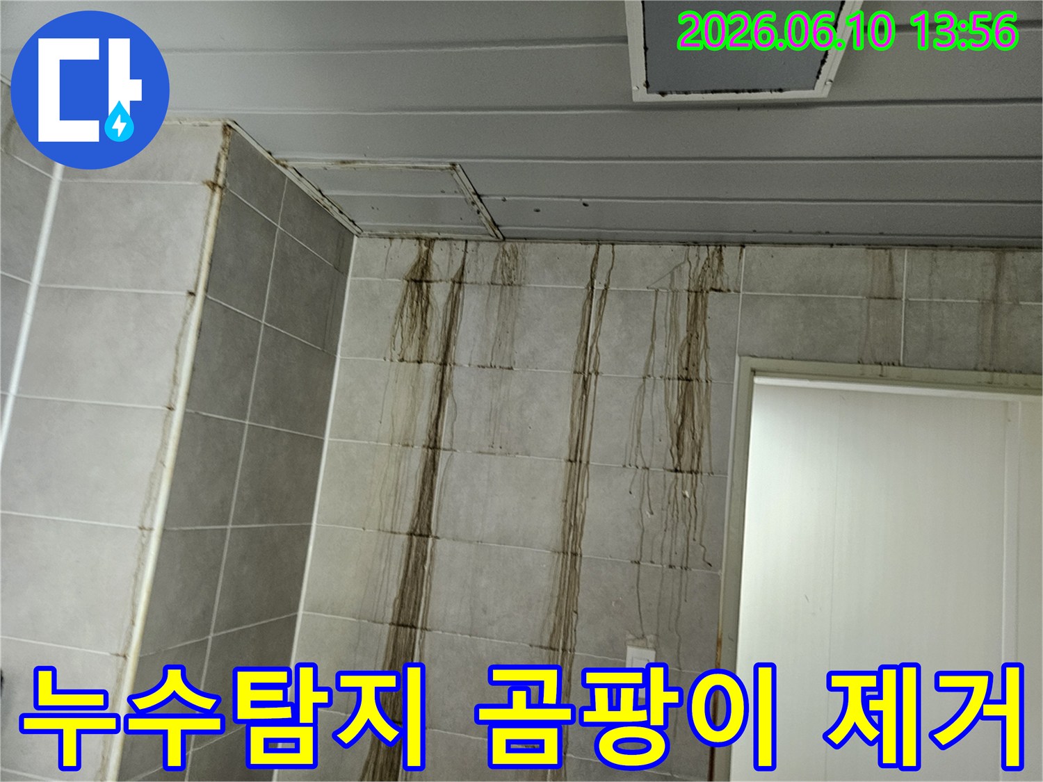 천장 누수로 인해-벽면 타일에 심각한 물자국과-곰팡이가 발생한 현장에서-누수탐지 후 곰팡이 제거를 진행하는 모습