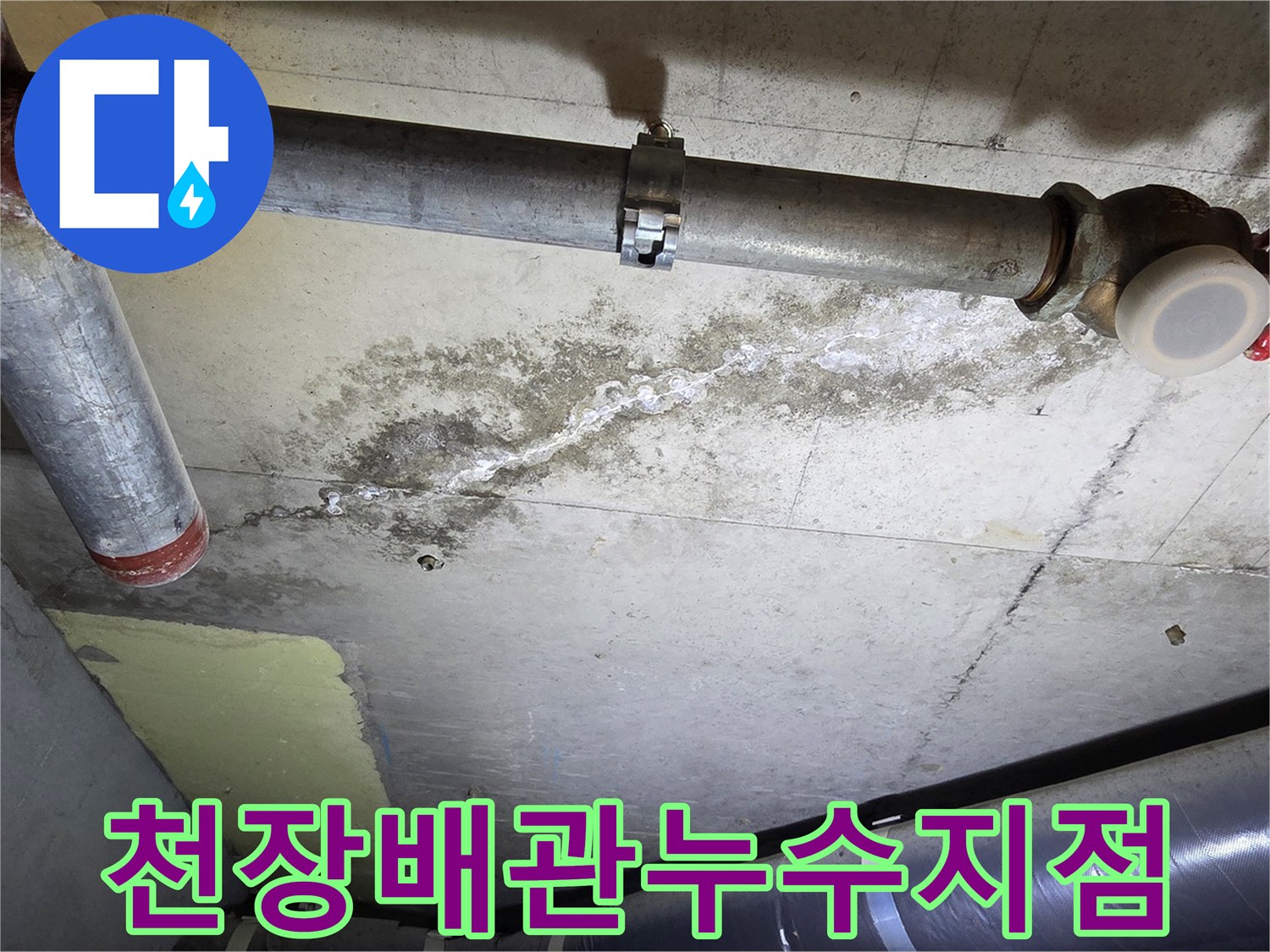 화장실-천장-배관-하단부의-축축한-콘크리트-상태
