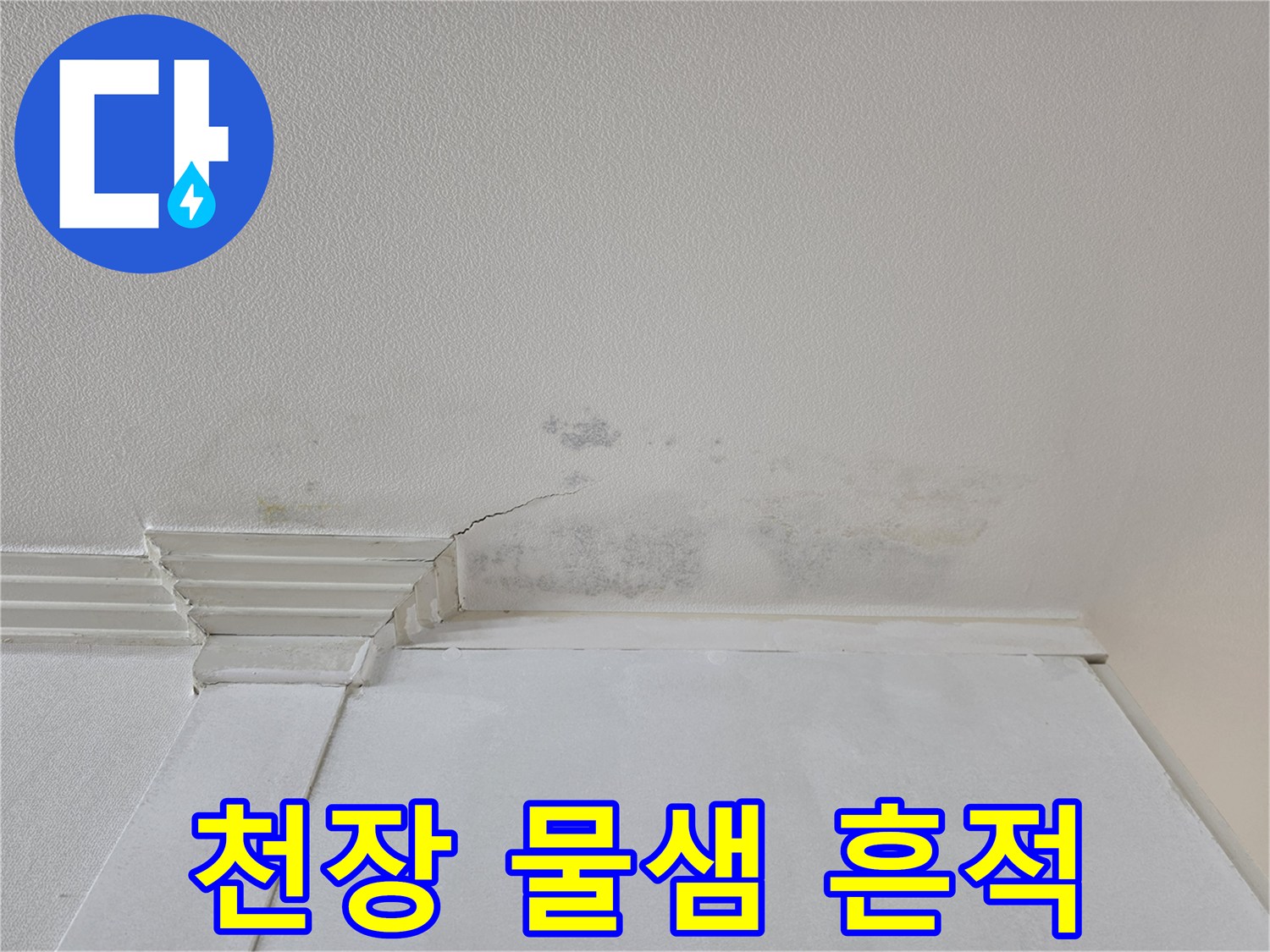 일산동구 아파트-안방 천장의 누수 얼룩과 균열 상태