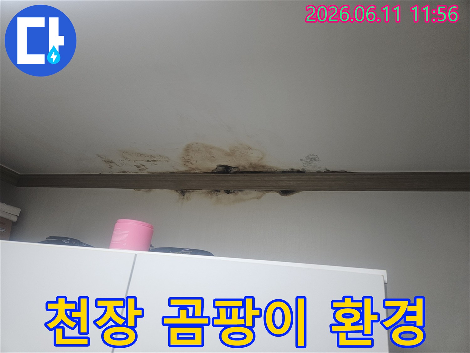 천장에서 물이 새어-곰팡이가 심하게 번진-건강에 해로운 누수 현장