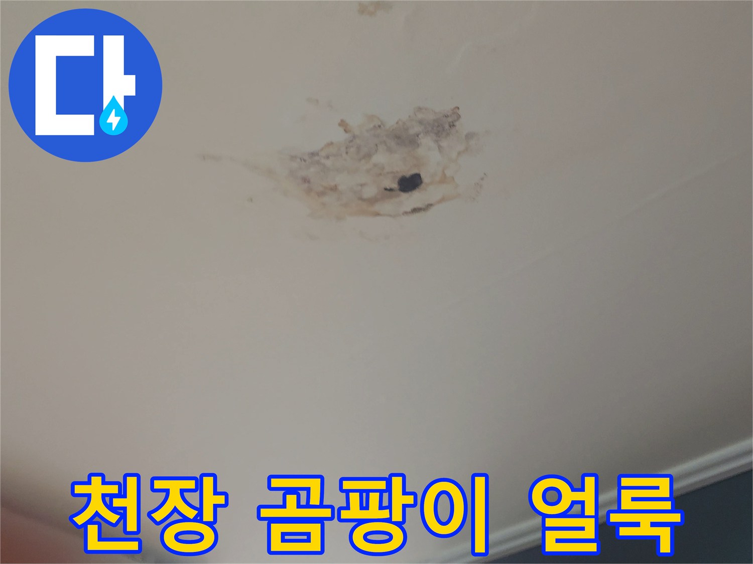누수로 인한-심각한 천장 마감재 변색