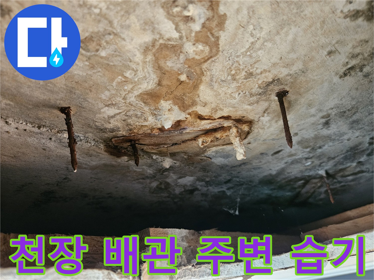 천장 내부 구조물-배관 근처의 심한 습기 침투 흔적