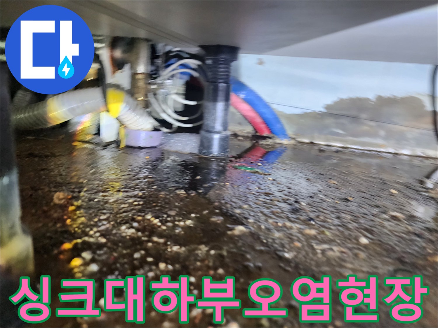 싱크대 배관 주변의 역류된 오수와 슬러지 덩어리