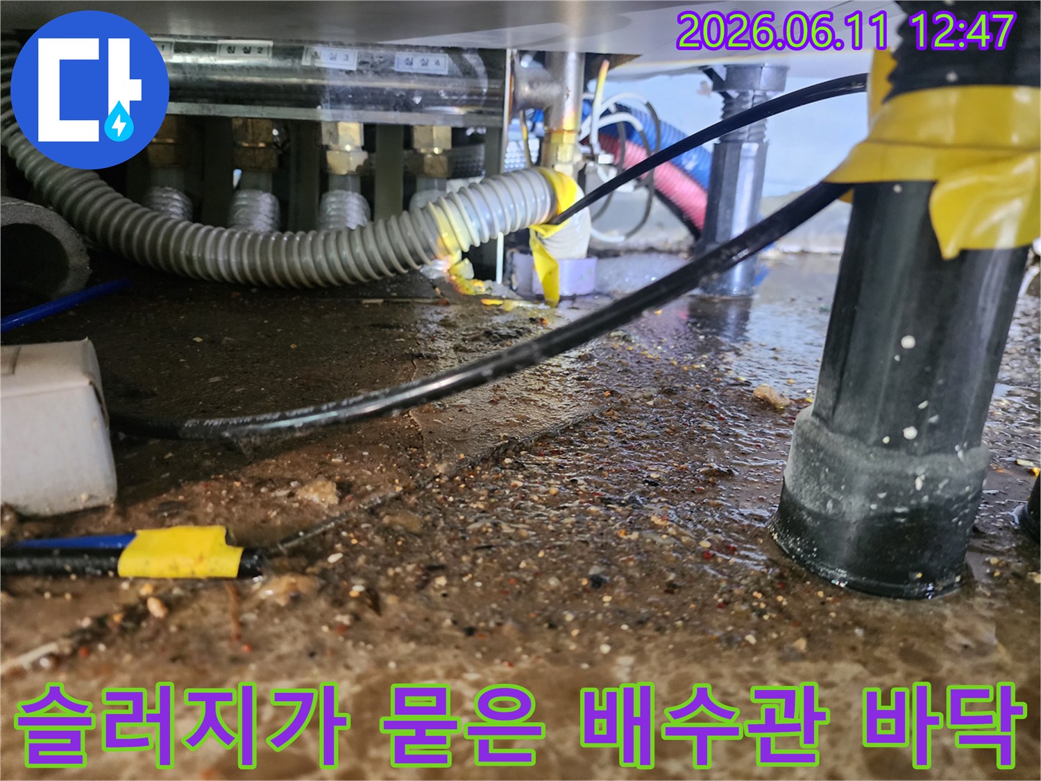 싱크대 아래쪽 배관 주변에 슬러지와 오물이 가득한 상태입니다.