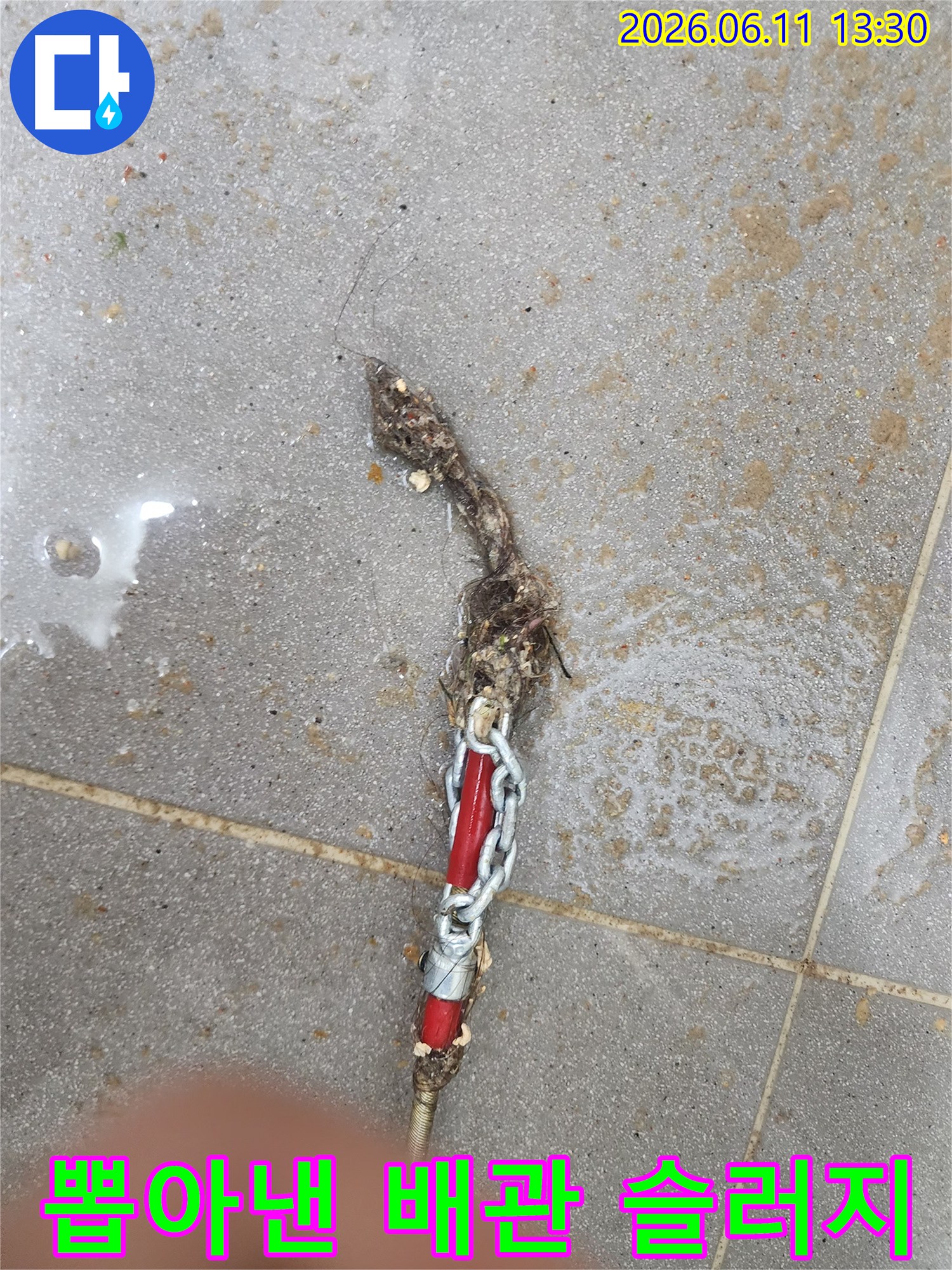 적색 부속에-엉겨 붙은 머리카락과 오물 덩어리
