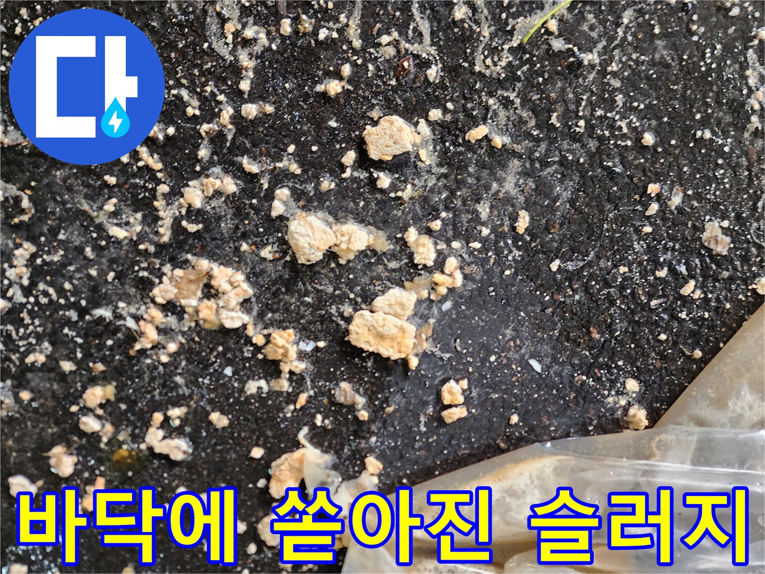 성동구-주차장-바닥에-역류하여-흩어진-오수-슬러지-덩어리