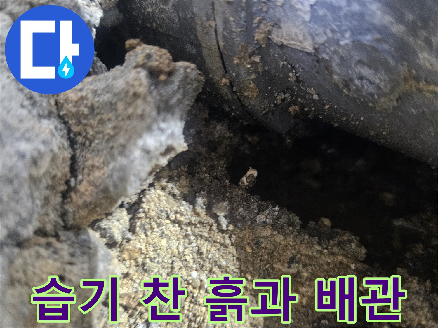 물기를-머금은-배관-주변-토양-상태