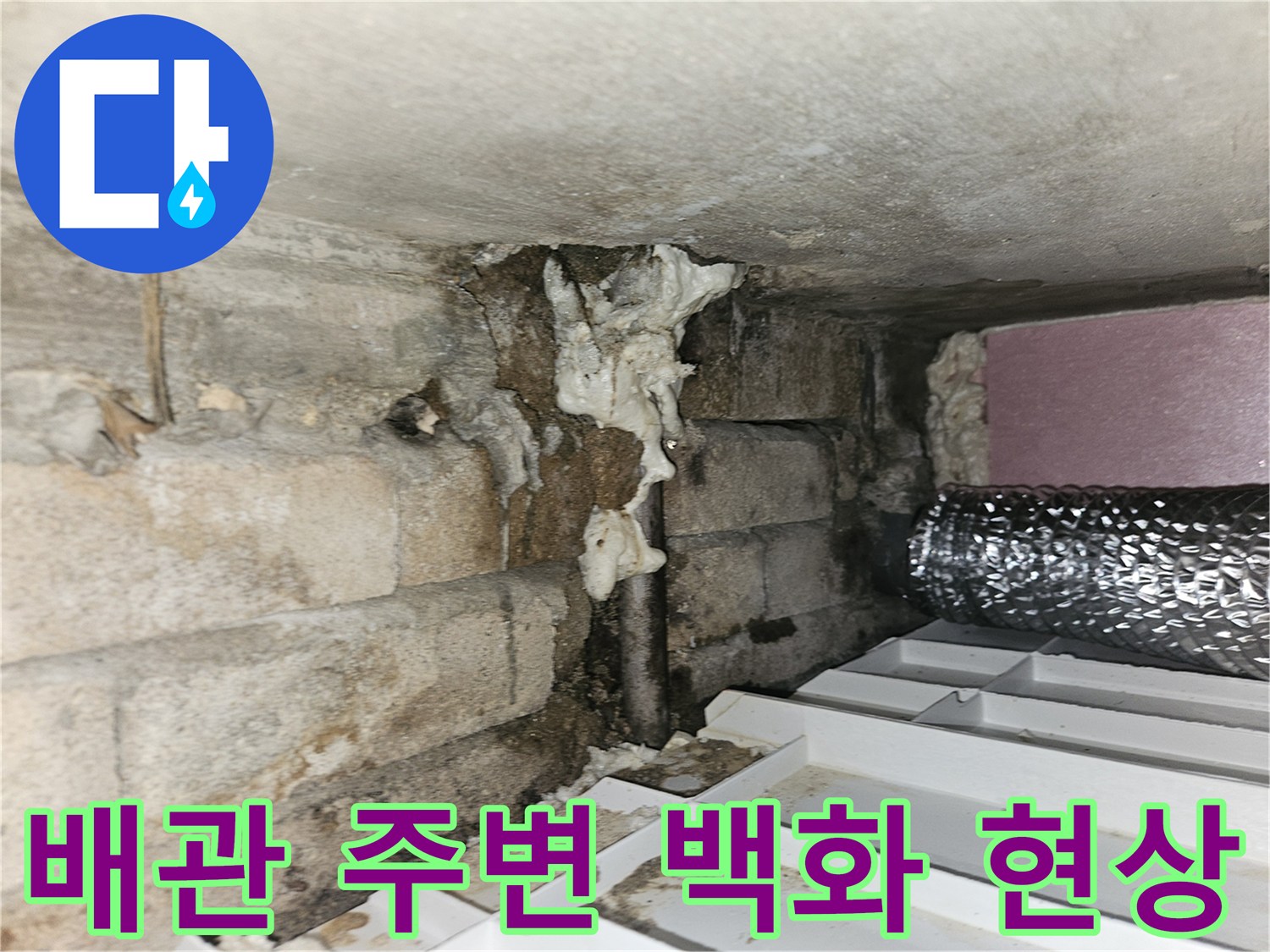 배관-주변의-하얀-이물질과-젖은-벽체-모습