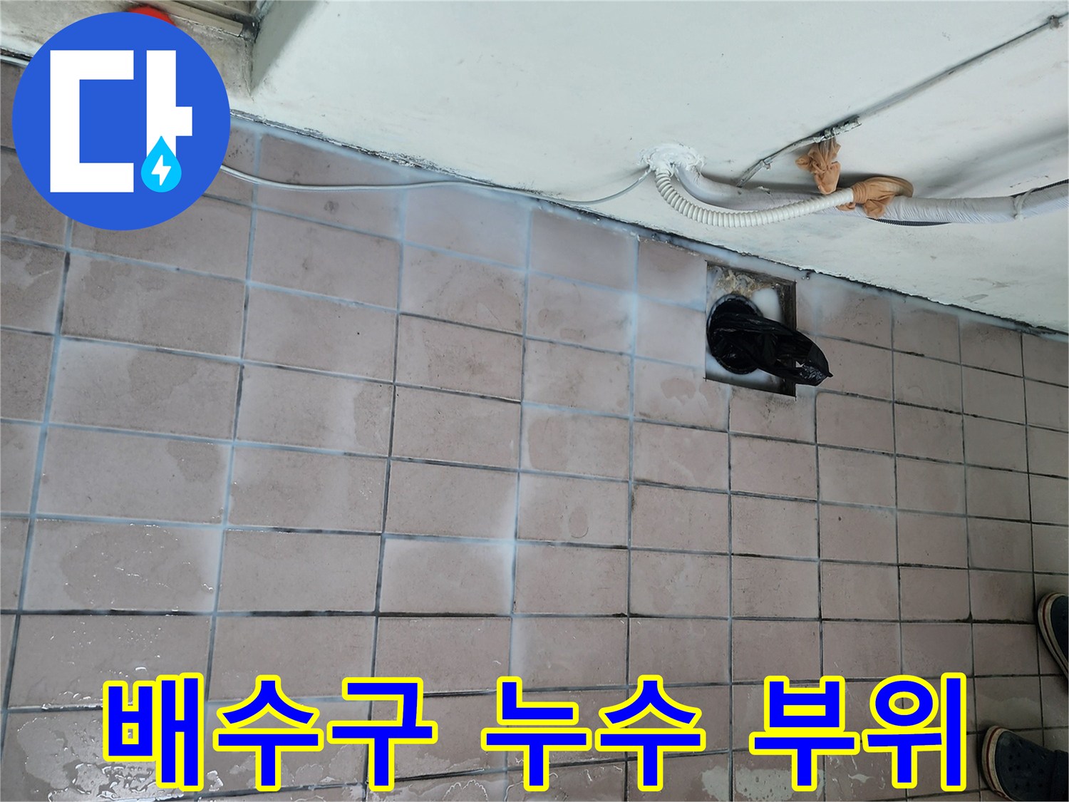 배수구 주변 타일 틈새로 물이 스며든 현장 모습