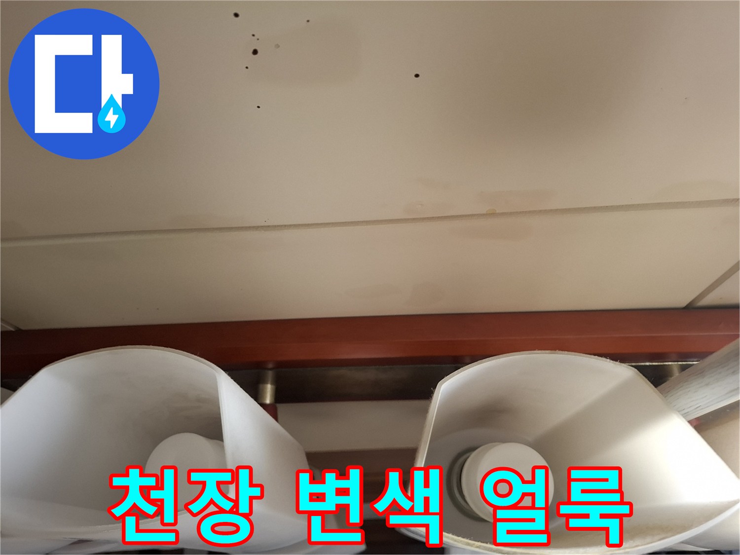 천장-표면의-누수-진행-및-변색-상태