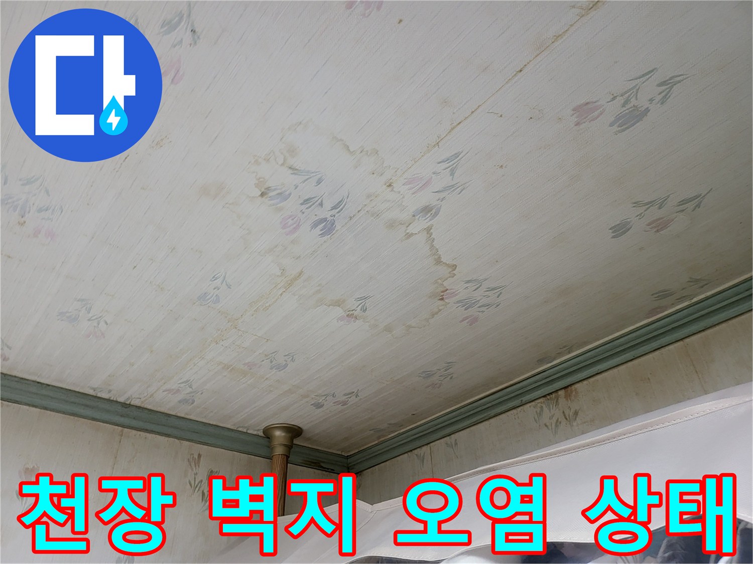 아파트 천장 벽지에 발생한 누수 물자국과 변색된 얼룩