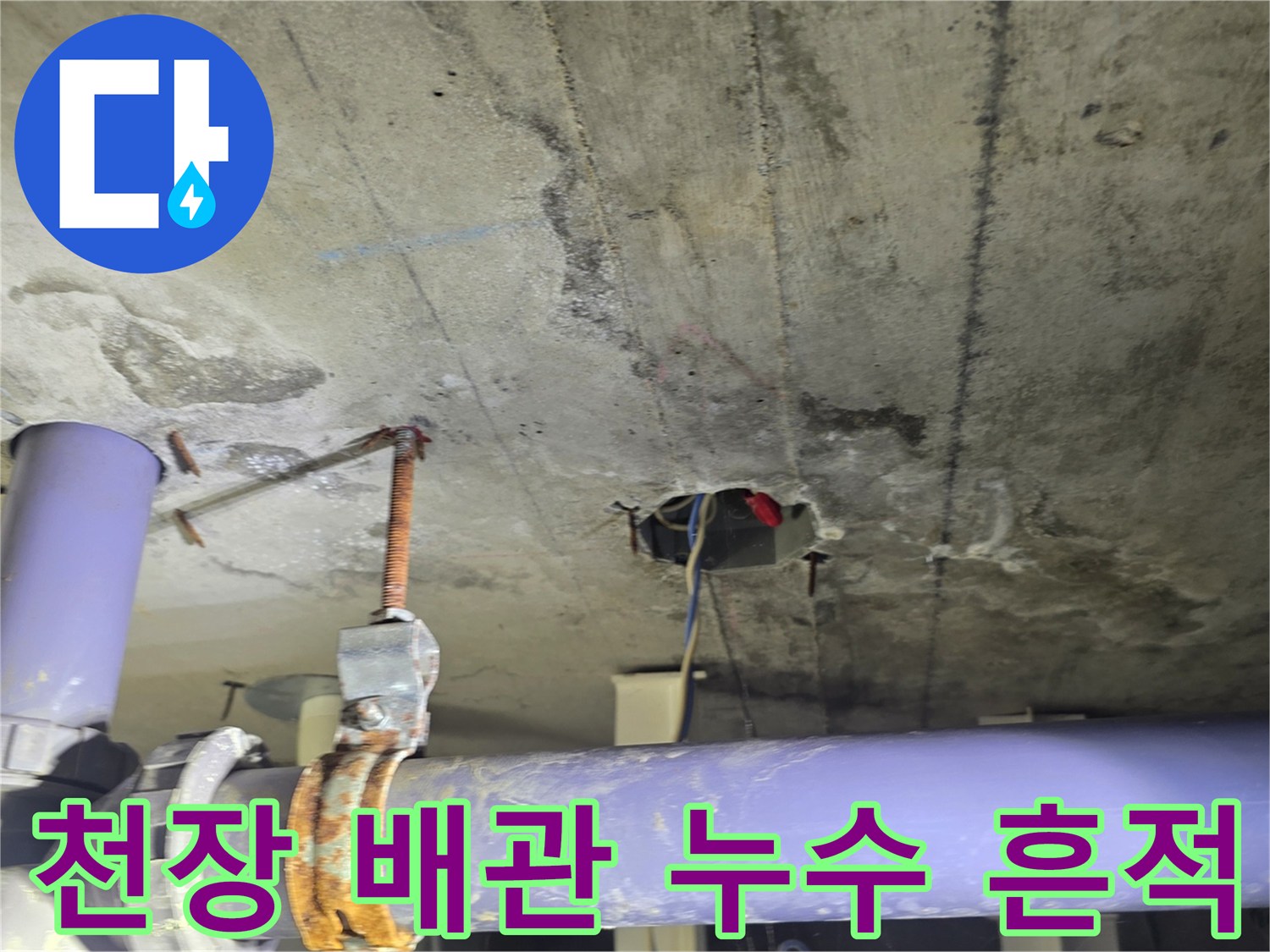천장 내부 보라색 배관 주변의 습기 침투 흔적