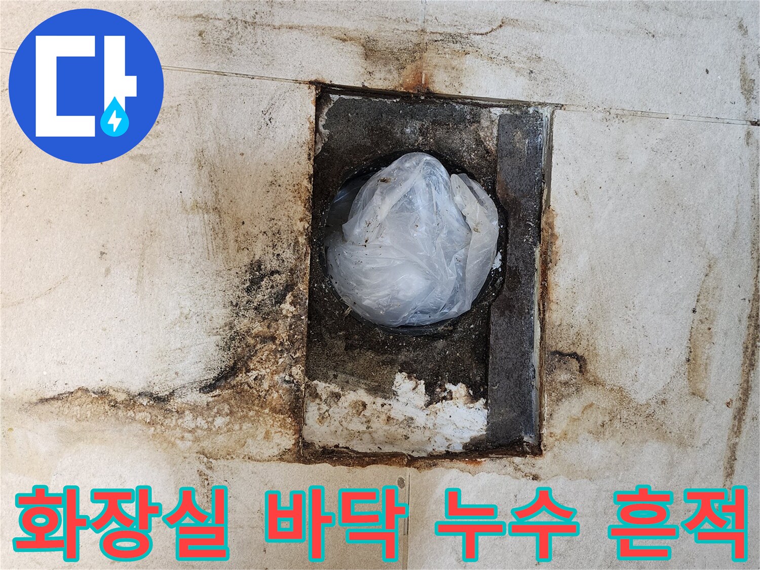 배관 주변 타일의 검은 곰팡이와 오염된 모습을 나타내는 사진입니다.