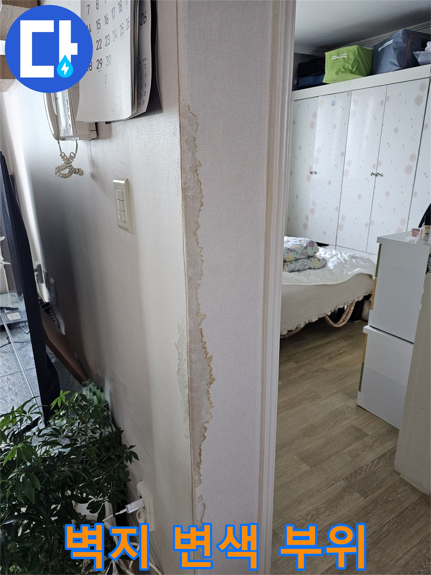 누수로 인한 벽지 얼룩과 들뜸 - 현장 진단 결과