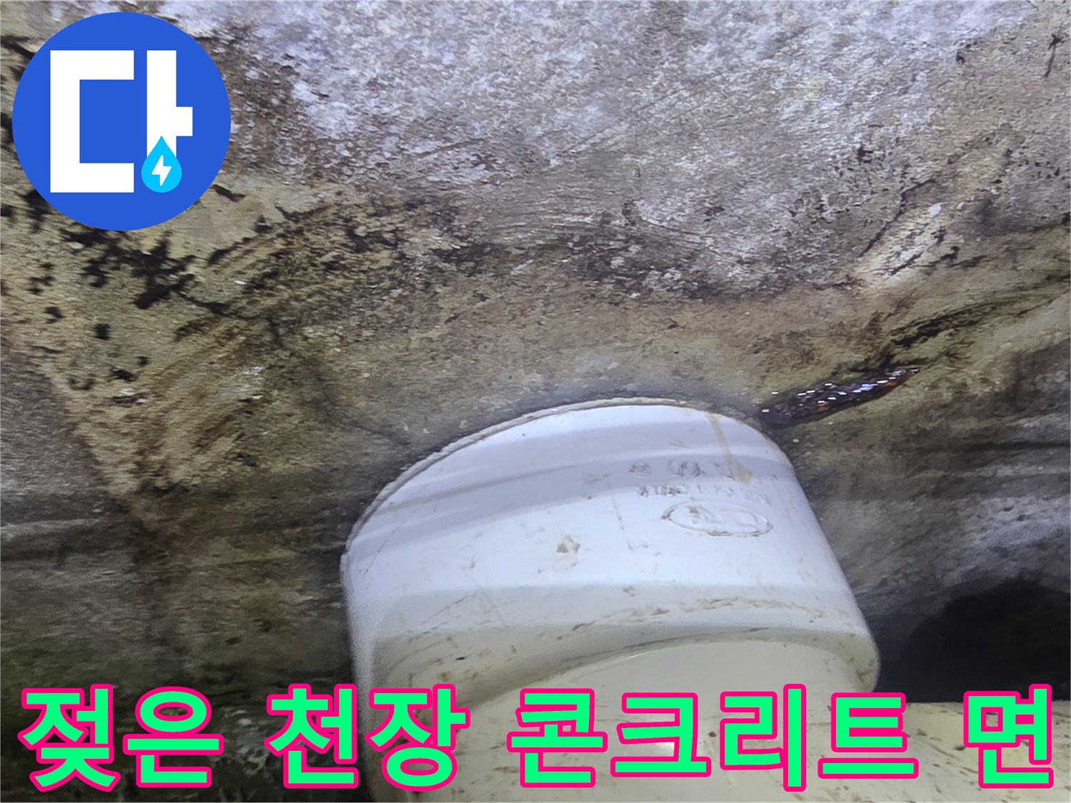 오수-배관-연결-부위-주변-습기-상태