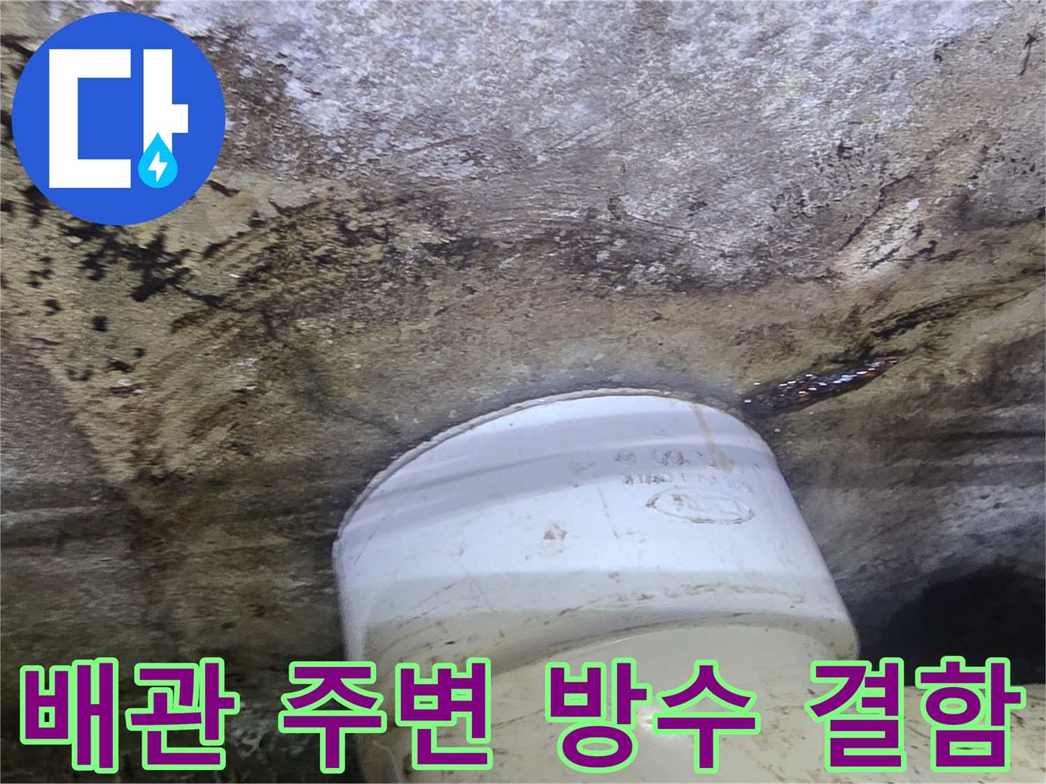 오수-배관-연결-부위-콘크리트-습기-침투-상태