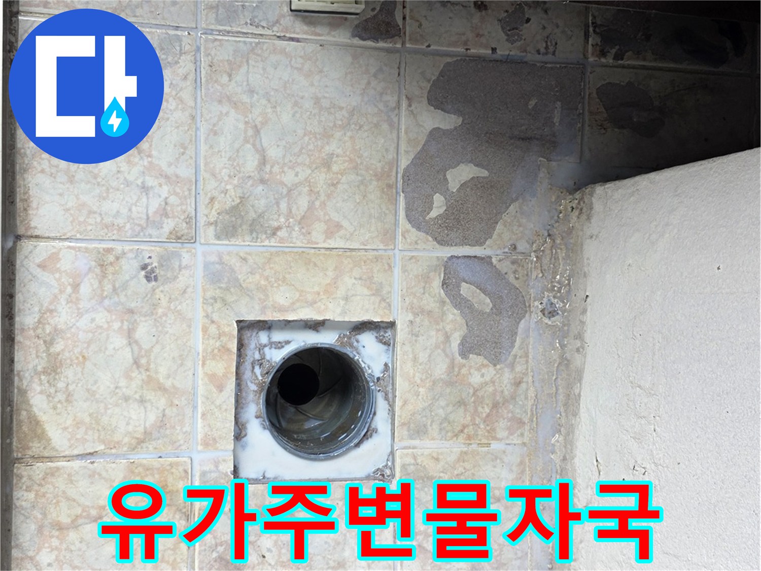 구리 수택동 세탁실 - 배수구 주변 타일의 젖은 상태와 오염